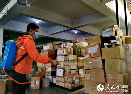 國際EMS郵件數量激增，醫療物資與蔬菜占比突出